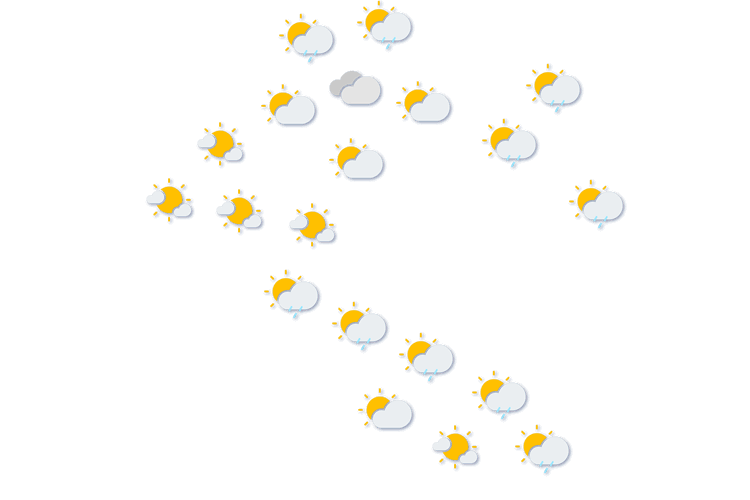 Forecast