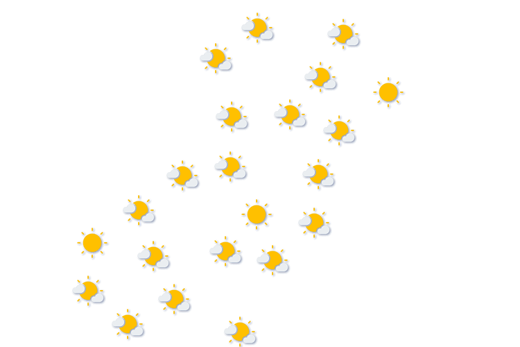 Forecast