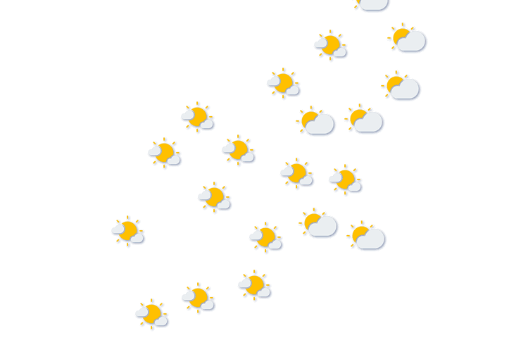 Forecast