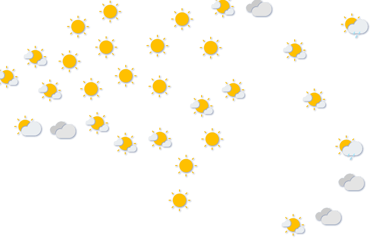 Forecast