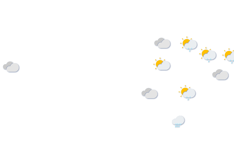 Forecast