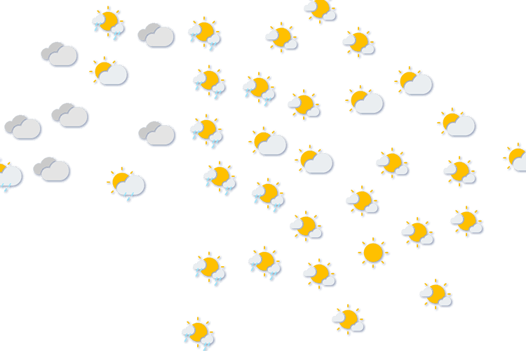 Forecast