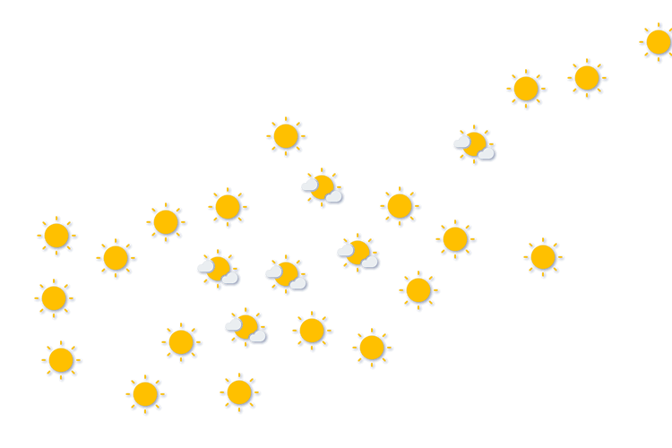 Forecast