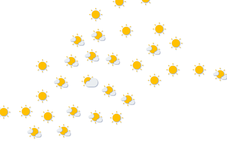 Forecast