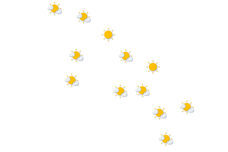 Forecast