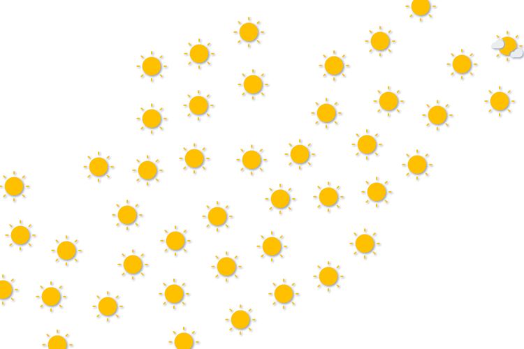 Forecast