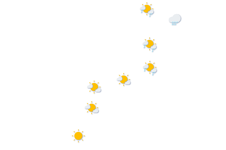 Forecast