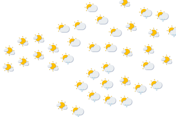 Forecast