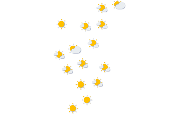 Forecast