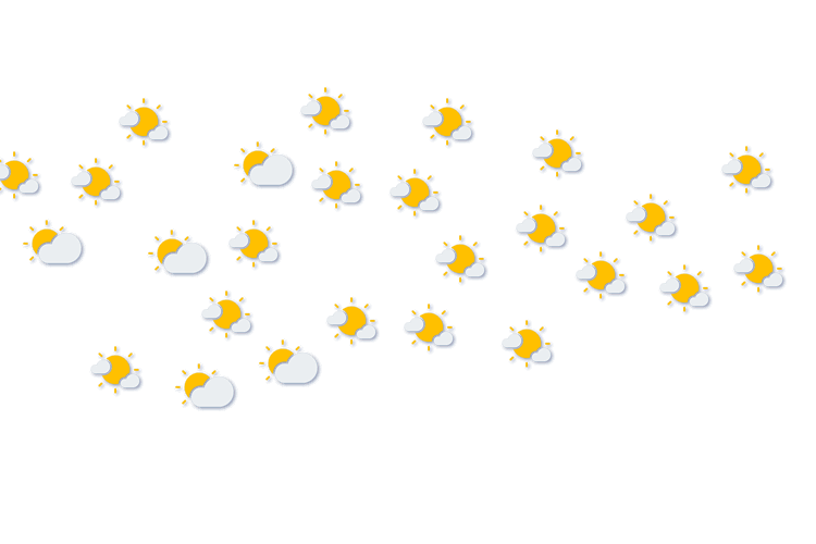 Forecast