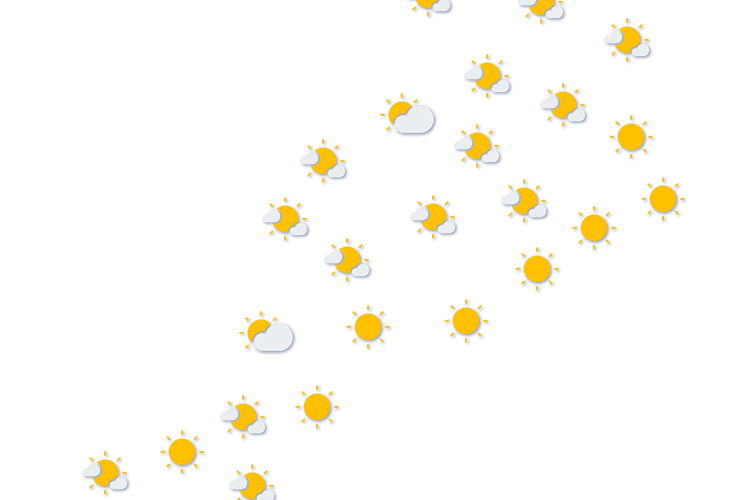 Forecast