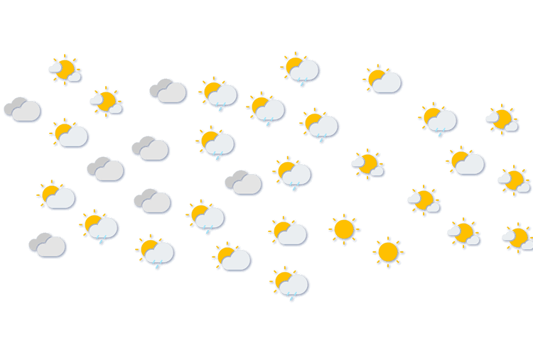 Forecast