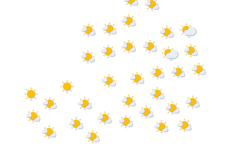 Forecast