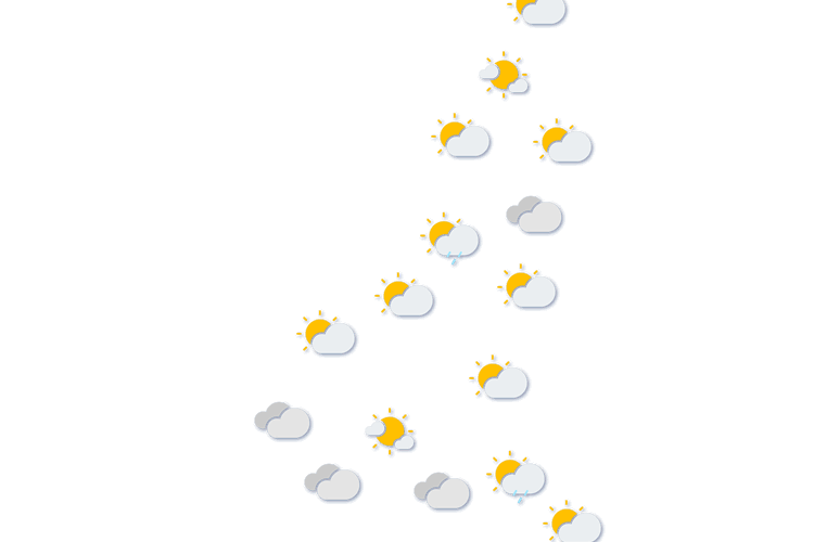 Forecast