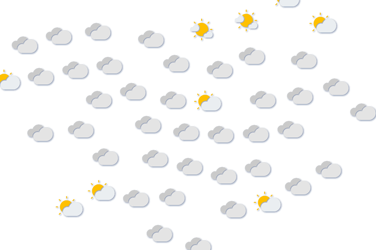 Forecast