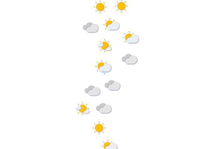 Forecast