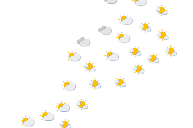 Forecast