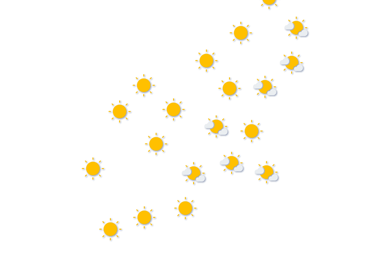 Forecast