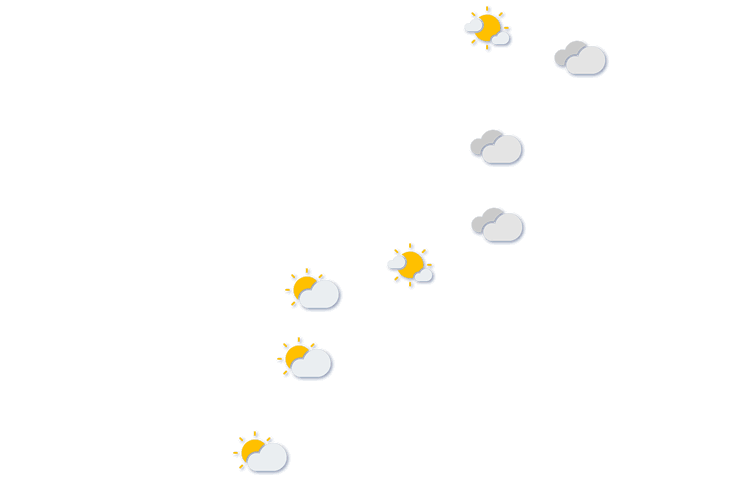 Forecast