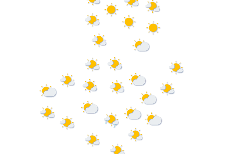 Forecast