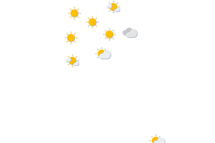 Forecast