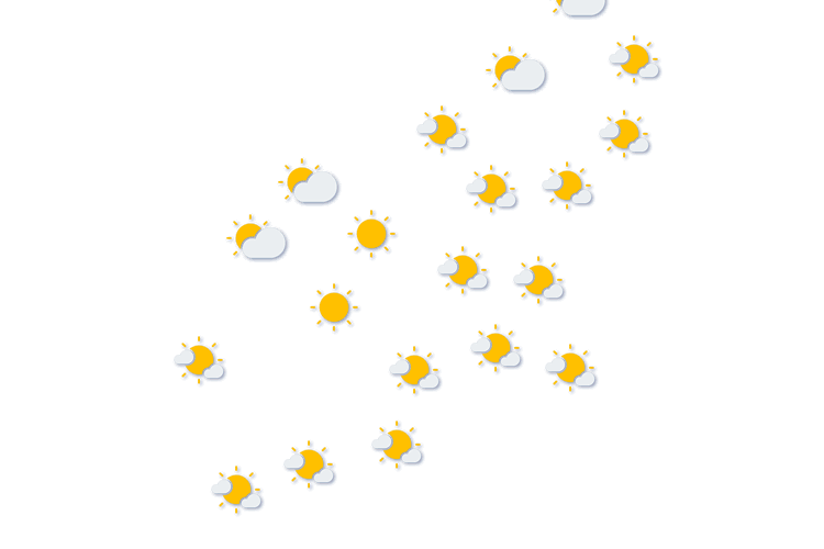 Forecast