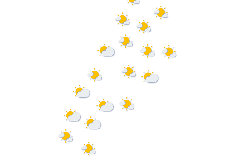Forecast