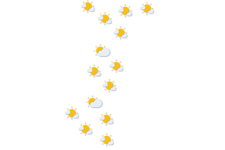 Forecast