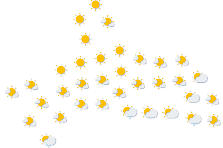 Forecast