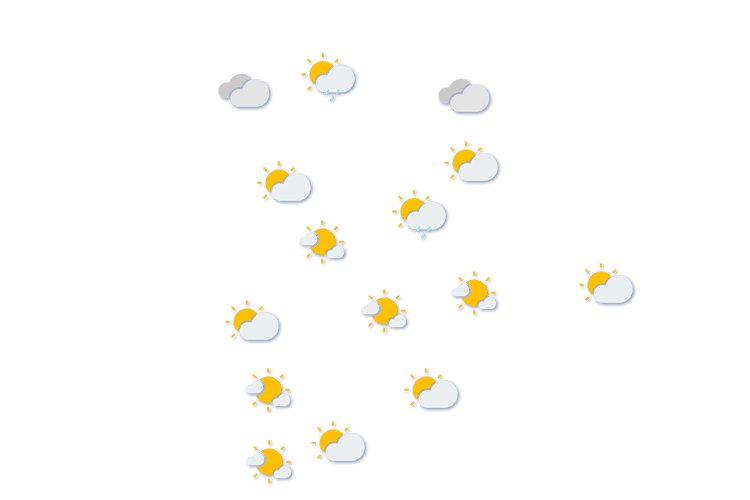 Forecast