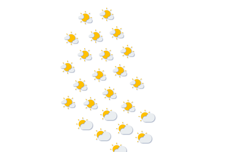 Forecast