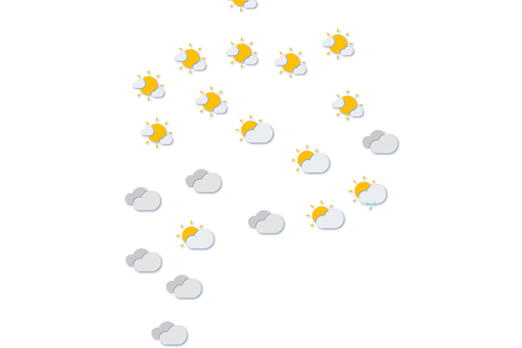 Forecast