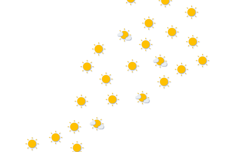 Forecast