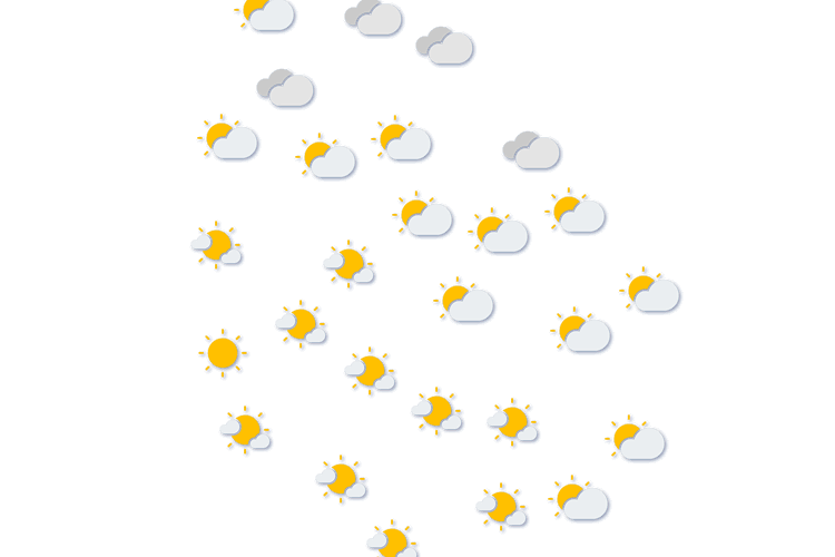 Forecast