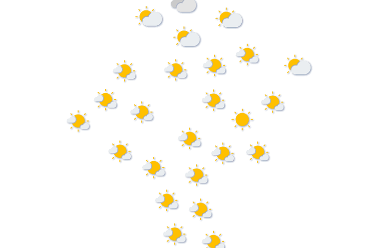 Forecast
