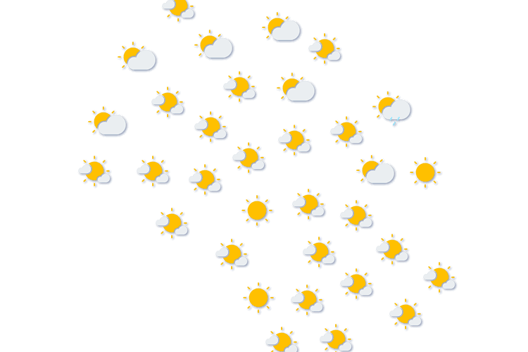 Forecast