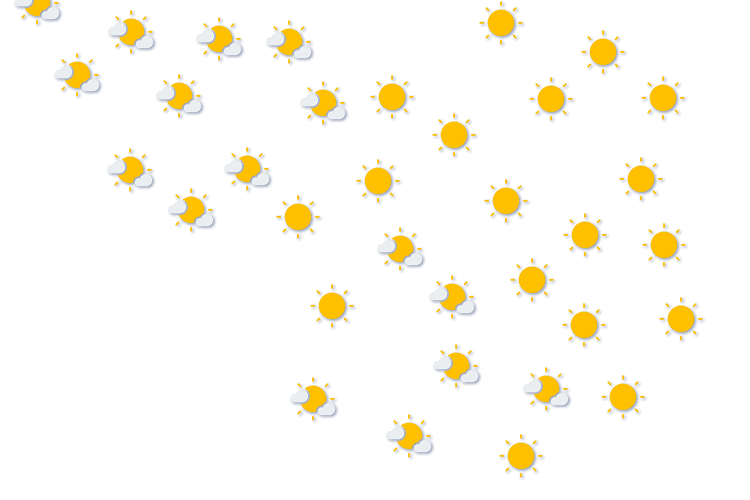 Forecast
