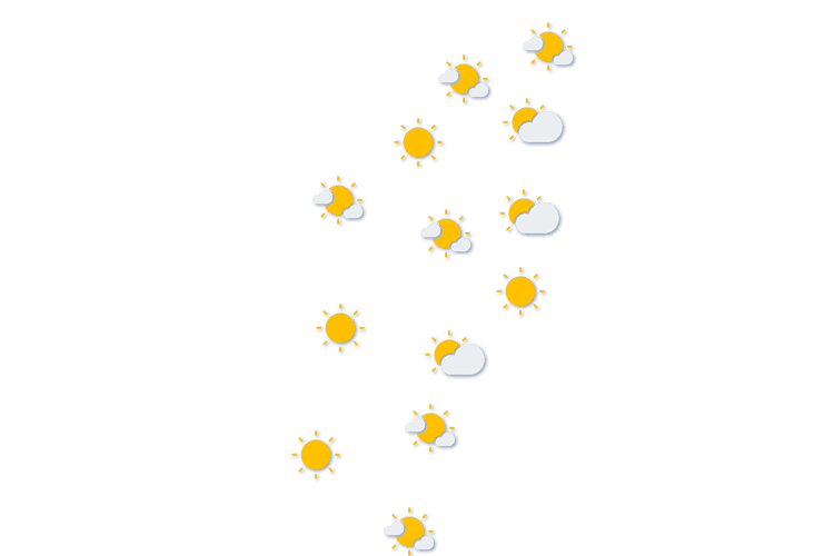 Forecast