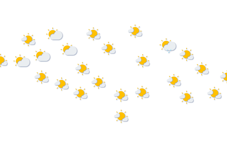 Forecast