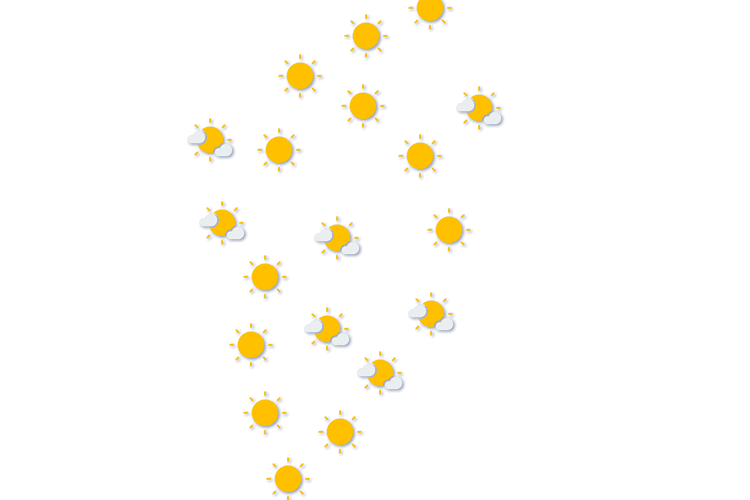 Forecast