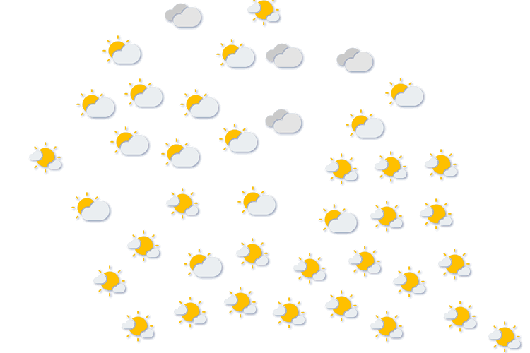 Forecast