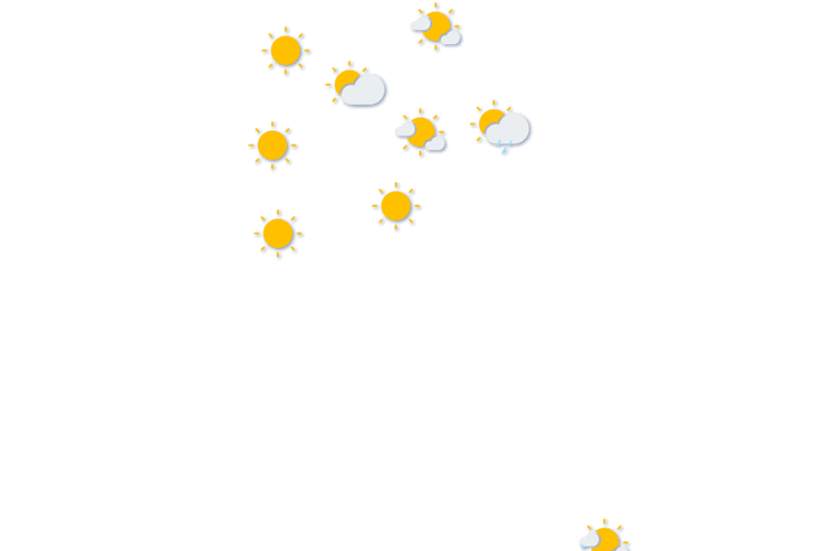 Forecast