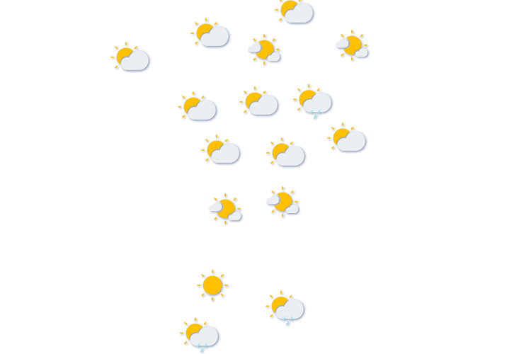 Forecast