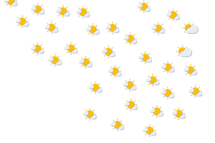 Forecast