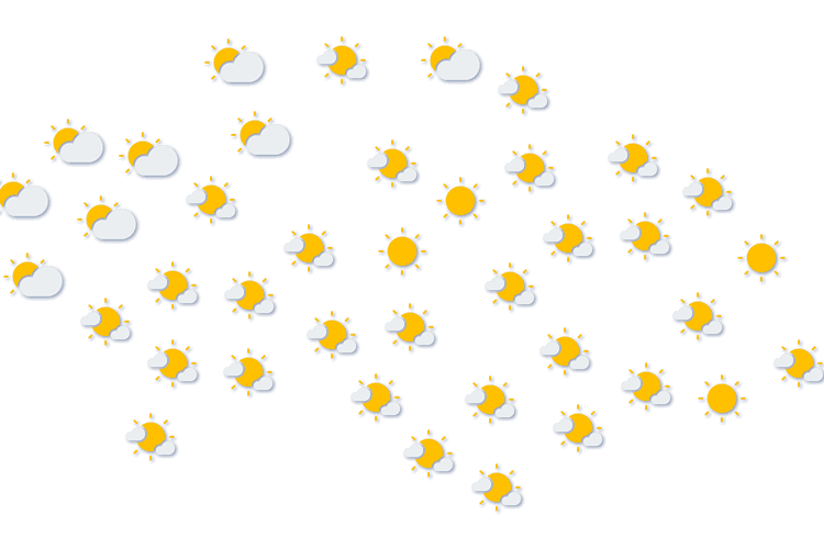 Forecast