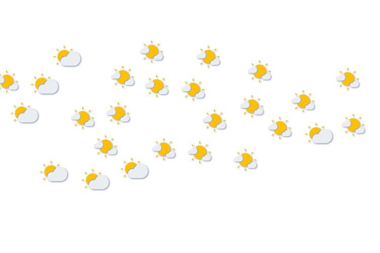 Forecast