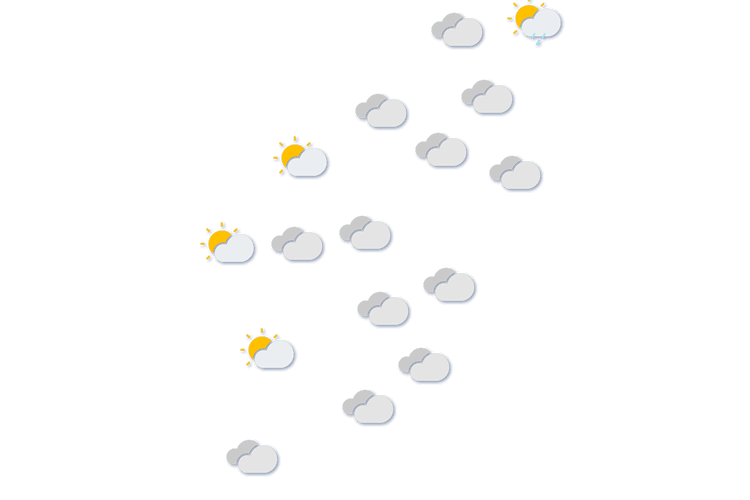 Forecast