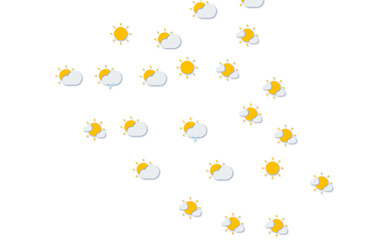 Forecast
