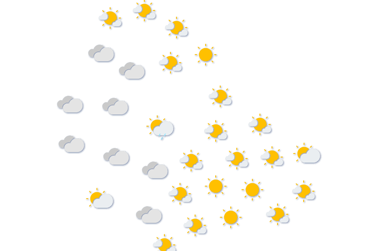 Forecast