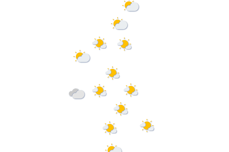 Forecast